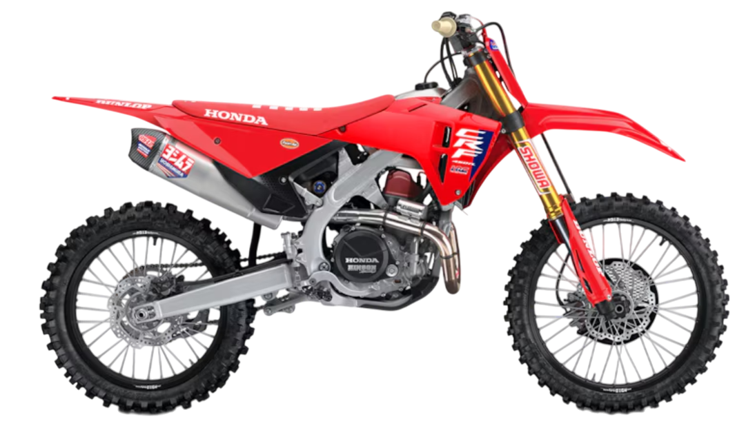 Model Image